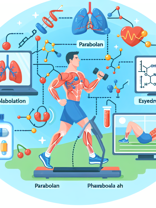 Come il Parabolan influisce sul metabolismo durante l'esercizio fisico