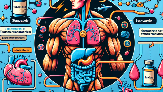Stanozololo iniettabile e metabolismo energetico: un connubio vincente