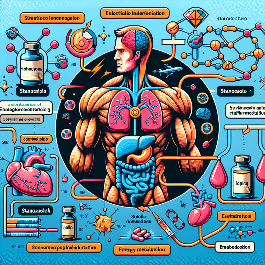Stanozololo iniettabile e metabolismo energetico: un connubio vincente