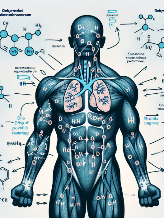 Come il Dehydroepiandrosterone può migliorare le performance fisiche